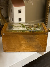 Load image into Gallery viewer, vintage acrylic Lucite napkin or letter holder featuring dried butterflies and flowers
