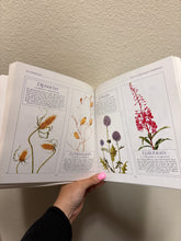 Load image into Gallery viewer, Vintage Everlastings The Complete Book of Dried Flowers Coffee Table Book
