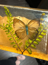 Load image into Gallery viewer, vintage acrylic Lucite napkin or letter holder featuring dried butterflies and flowers
