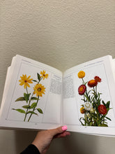 Load image into Gallery viewer, Vintage Everlastings The Complete Book of Dried Flowers Coffee Table Book
