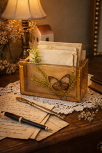 Load image into Gallery viewer, vintage acrylic Lucite napkin or letter holder featuring dried butterflies and flowers
