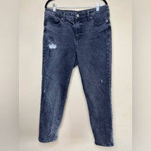 Load image into Gallery viewer, Size 14 Old Navy Plus Size Black High Rise O.G. Straight Jeans

