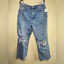 Load image into Gallery viewer, Size 32 Free People NWT Plus Tapered Baggy Boyfriend in Mid Century Blue Jeans
