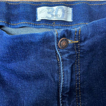 Load image into Gallery viewer, Size 30 We The Free Dark Wash High Rise Raw Hem Frayed Skinny Jegging Jeans
