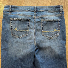 Load image into Gallery viewer, Size 14 Maurices Plus Size Mid Rise Basic Denim Skinny Jeans
